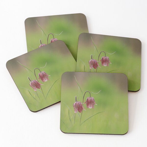Item preview, Fabulous Fritillaries designed and sold by miradorpictures.