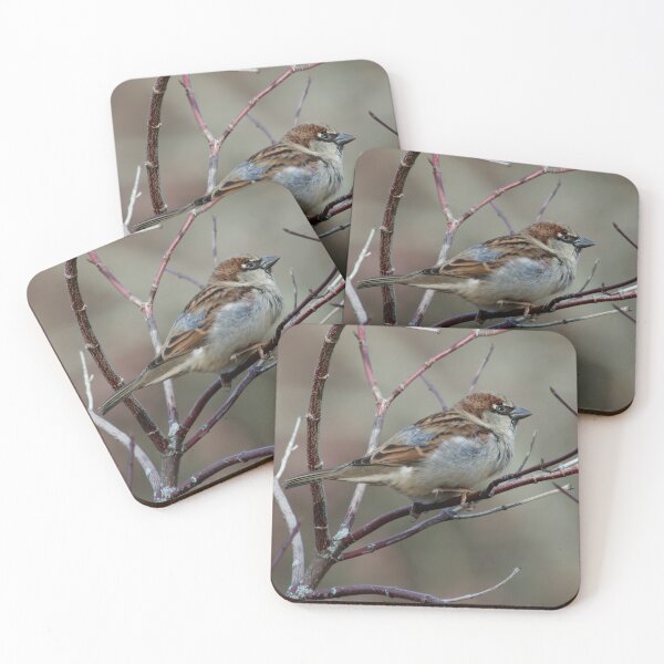 Item preview, Sparrow on the Branch designed and sold by Tim Dusenberry.