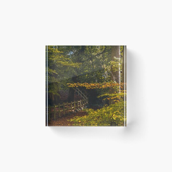 Item preview, Fall mood photography of UK somerset cotswold city Bath in Golden Autumn  designed and sold by Rowena Ko.