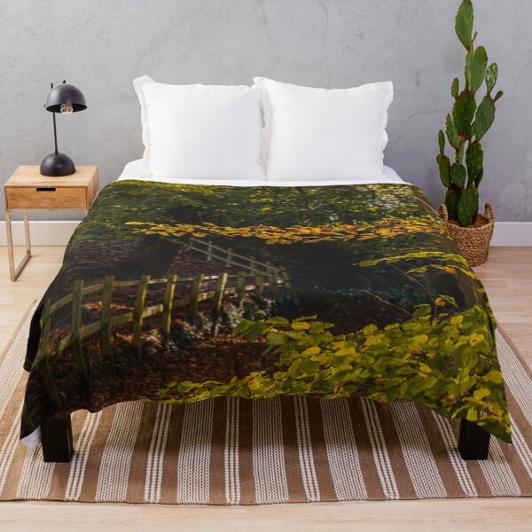 Item preview, Fall mood photography of UK somerset cotswold city Bath in Golden Autumn  designed and sold by Rowena Ko.
