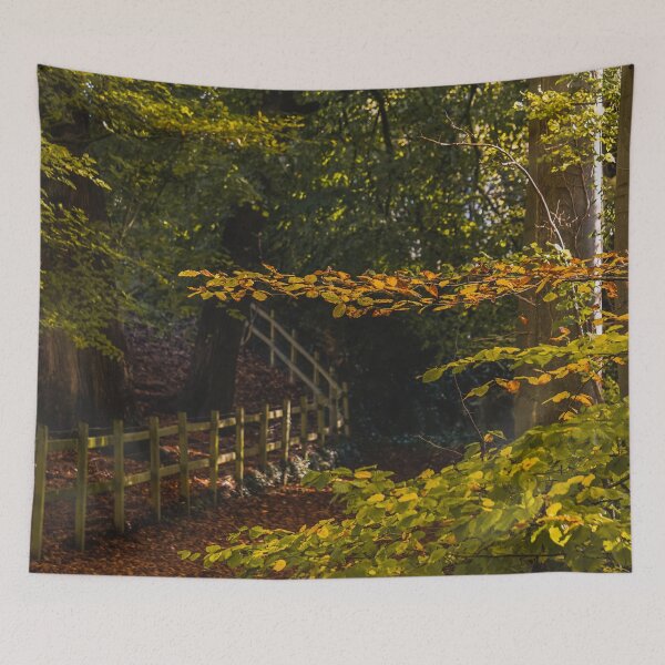 Item preview, Fall mood photography of UK somerset cotswold city Bath in Golden Autumn  designed and sold by Rowena Ko.