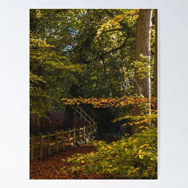 Item preview, Fall mood photography of UK somerset cotswold city Bath in Golden Autumn  designed and sold by Rowena Ko.