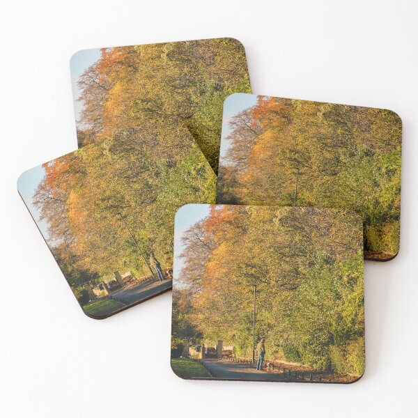 Item preview, Fall mood photography of UK somerset cotswold city Bath in Golden Autumn  designed and sold by Rowena Ko.