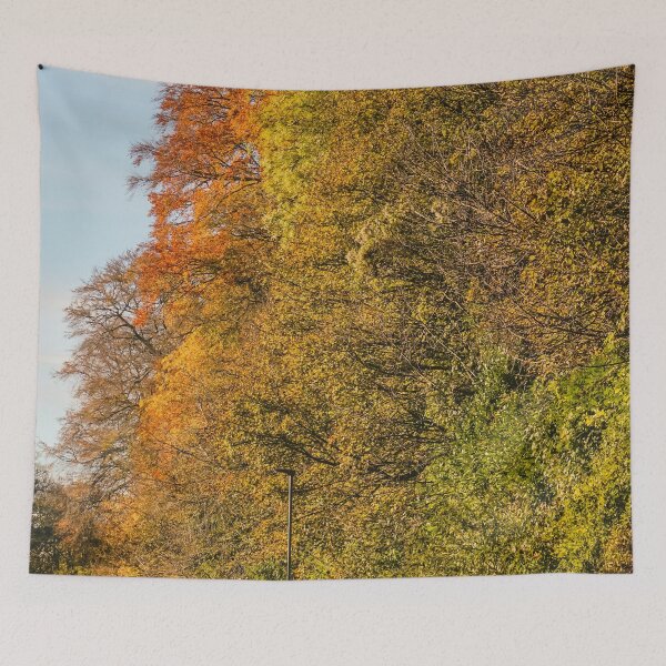 Item preview, Fall mood photography of UK somerset cotswold city Bath in Golden Autumn  designed and sold by Rowena Ko.