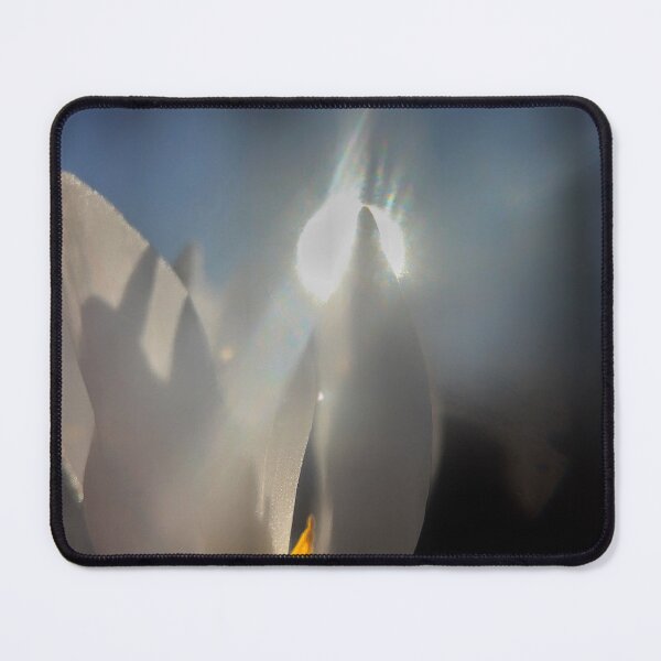 Item preview, Trillium At Dusk designed and sold by Jason Tompkins.
