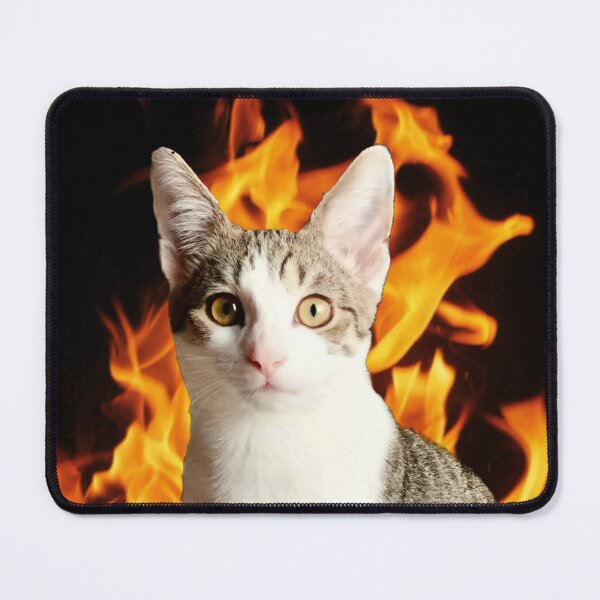 Item preview, Kitty arsonist (realism) designed and sold by PortalArts.