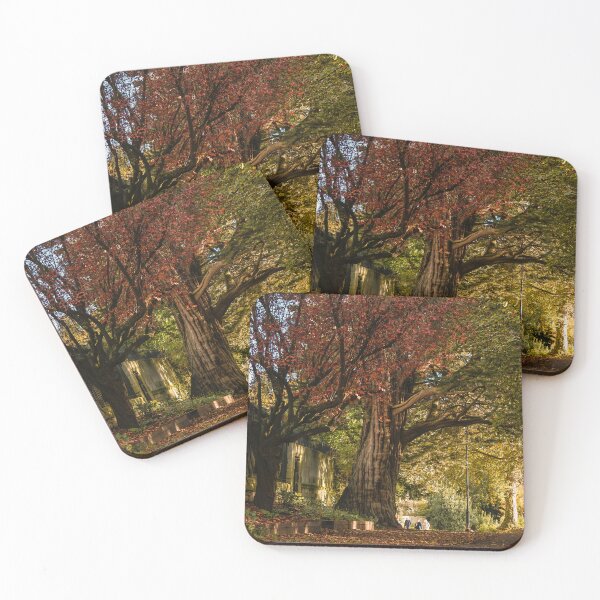 Item preview, Fall mood photography of UK somerset cotswold city Bath in Golden Autumn  designed and sold by Rowena Ko.