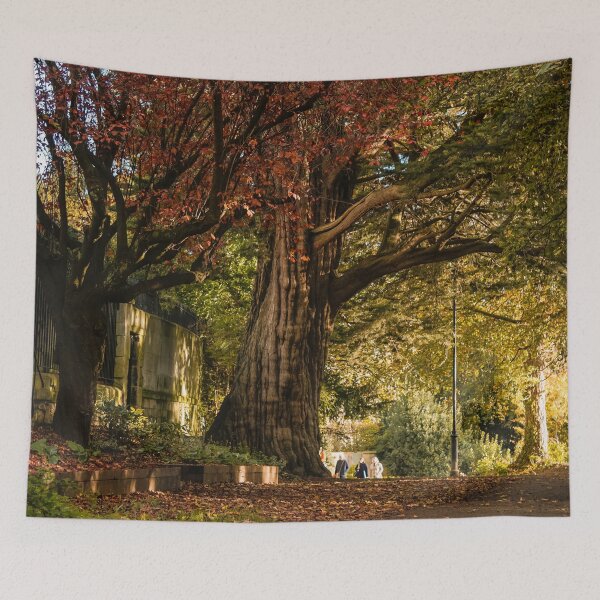 Item preview, Fall mood photography of UK somerset cotswold city Bath in Golden Autumn  designed and sold by Rowena Ko.