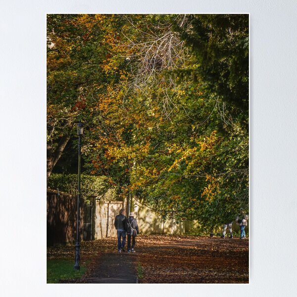 Item preview, Fall mood photography of UK somerset cotswold city Bath in Golden Autumn  designed and sold by Rowena Ko.