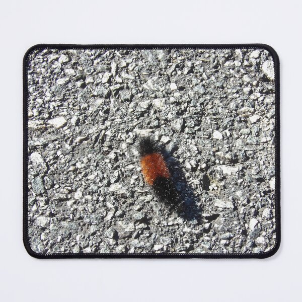 Item preview, Tiger Moth Caterpillar Late Fall designed and sold by gistinker.