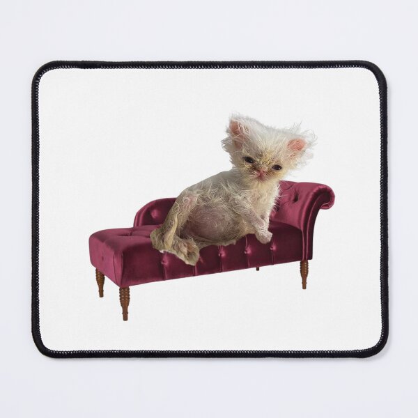 Item preview, wisp the cat on a futon designed and sold by paigenf.