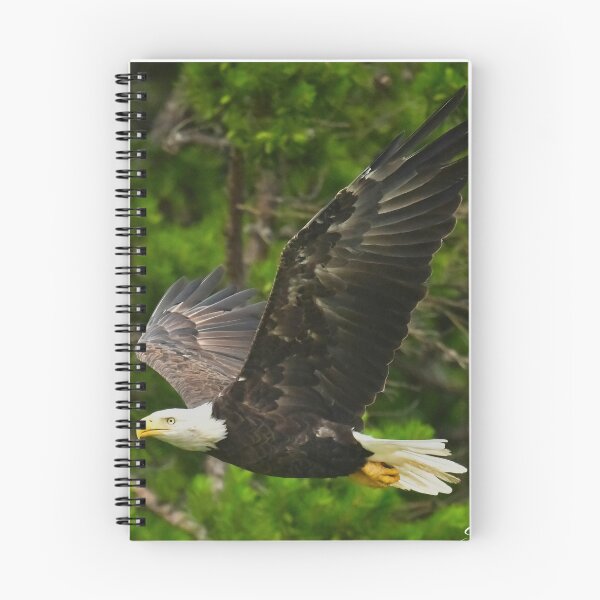 Item preview, Eagle designed and sold by Spiveys-Corner.