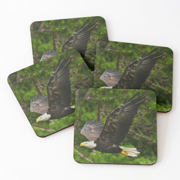 Item preview, Eagle designed and sold by Spiveys-Corner.