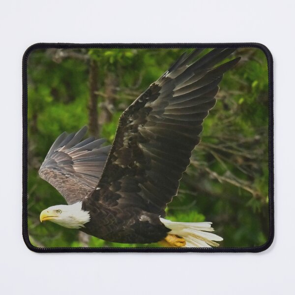 Item preview, Eagle designed and sold by Spiveys-Corner.