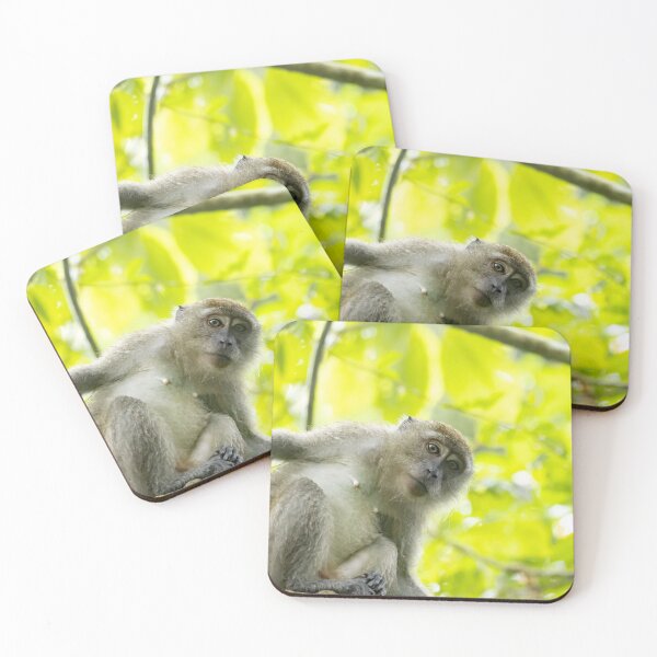 Item preview, Crab-eating macaque, Macaca fascicularis, in a tree designed and sold by Zosimus.