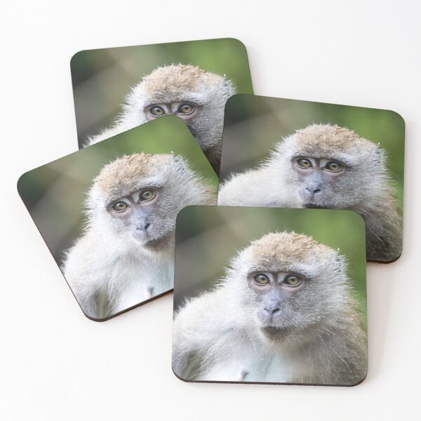 Item preview, Crab-eating macaque, Macaca fascicularis, in a tree designed and sold by Zosimus.