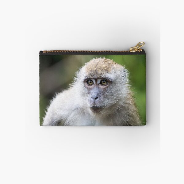 Item preview, Crab-eating macaque, Macaca fascicularis, in a tree designed and sold by Zosimus.