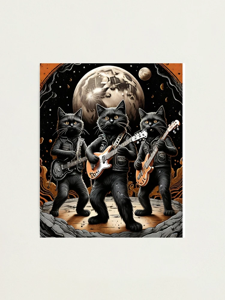 洋書 COOL CATS  25 YEARS OF  ROCK'N'ROLL 洋書 COOL CATS 25 YEARS OF ROCK'N'ROLL Cool Cats: 25 Years