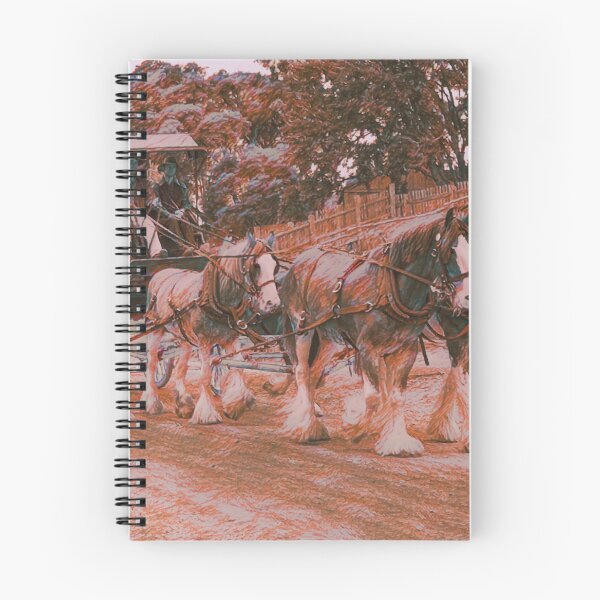 Item preview, Stagecoach designed and sold by DVJPhotography.