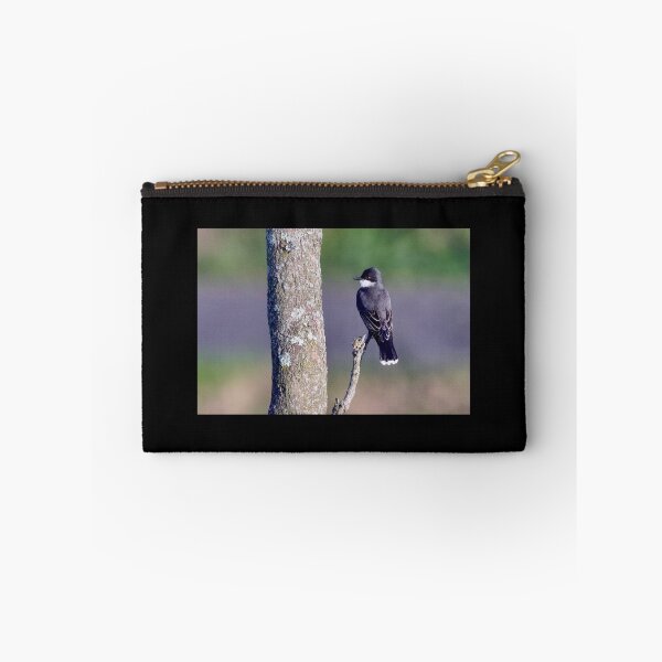 Item preview, Eastern King Bird: Tiny ruler, big attitude  designed and sold by BirdsBugsBeyond.