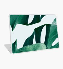 Monstera #redbubble #Artdrucken Laptop Folie