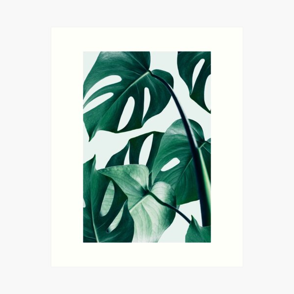 Item preview, Monstera #redbubble #artprints designed and sold by 83oranges.