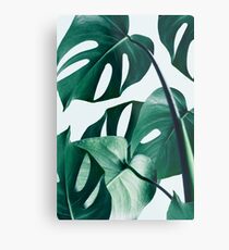 Monstera #redbubble #artprints Metal Print