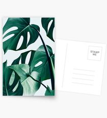 Monstera #redbubble #Artdrucken Postkarten