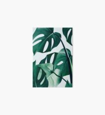 Monstera #redbubble #artprints Art Board Print