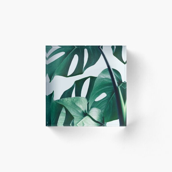 Monstera #redbubble #artprints Acrylic Block