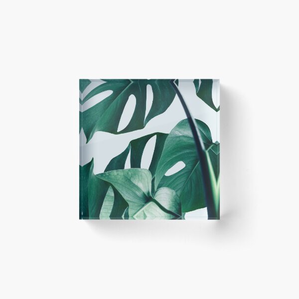 Monstera #redbubble #artprints Acrylic Block