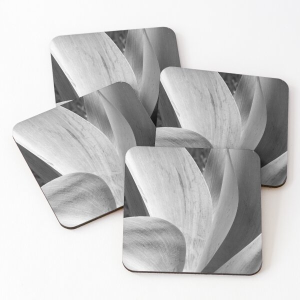 Aperçu de l'œuvre Ombrage d'agave créée et vendue par okomedesign.