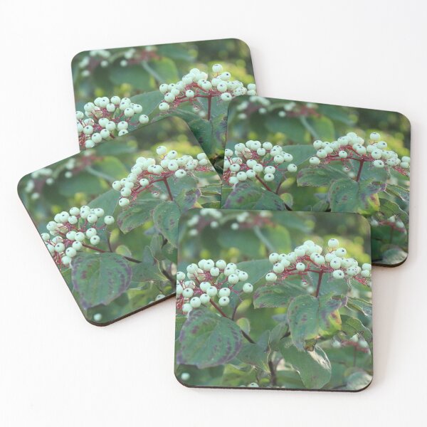 Item preview, Dogwood Berries designed and sold by nfjustnature.