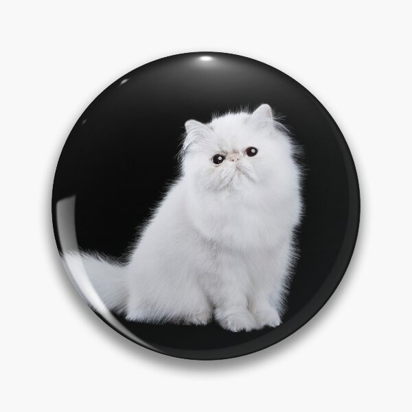 Item preview, I am good kitty designed and sold by Echo Aesthetics.