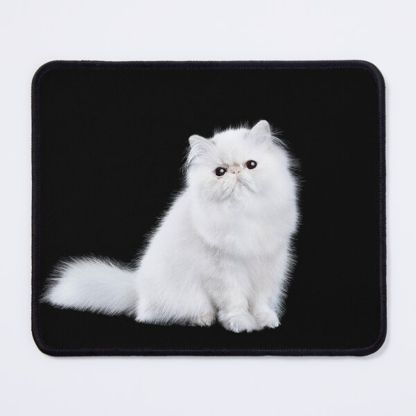 Item preview, I am good kitty designed and sold by Echo Aesthetics.