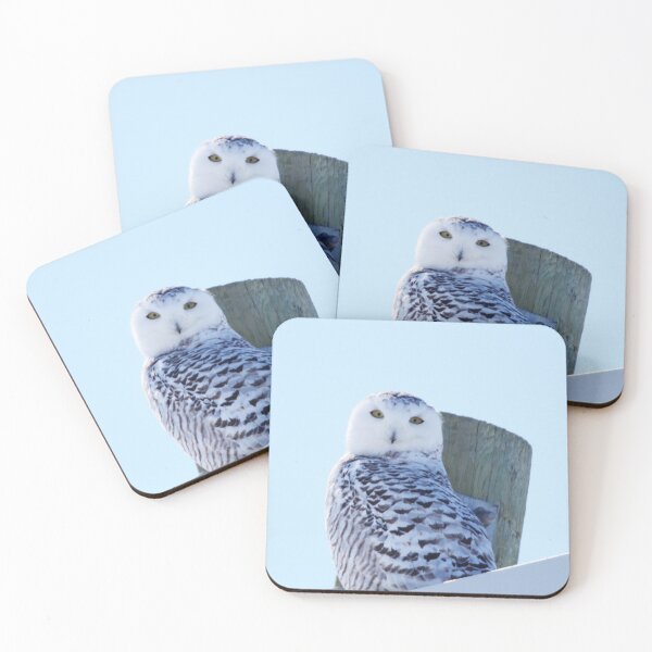 Item preview, Snowy Power designed and sold by Alyce Taylor.