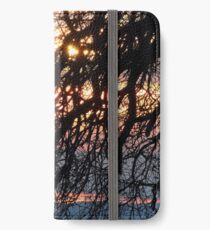 Color Me A Rainbow iPhone Wallet/Case/Skin