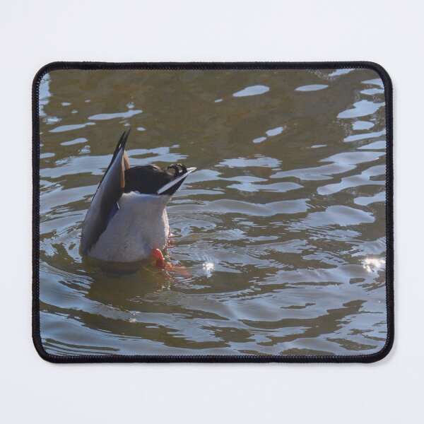Item preview, Duck Diving in Water Photography designed and sold by ThePhotograph03.