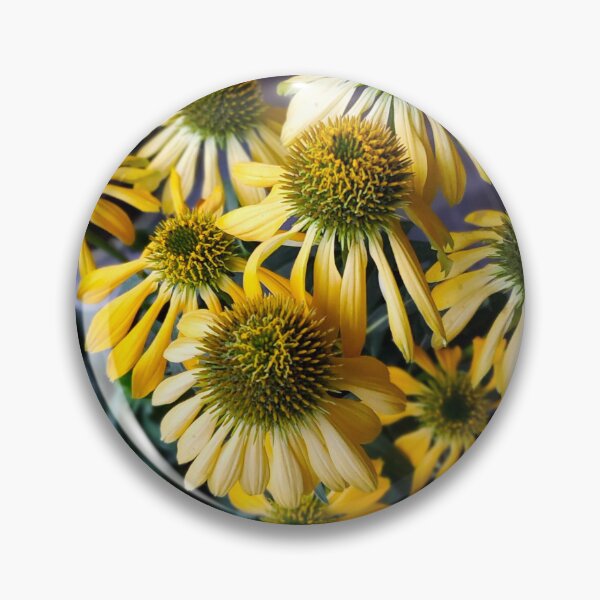 Item preview, echinacea 1123 designed and sold by Firstbloom.