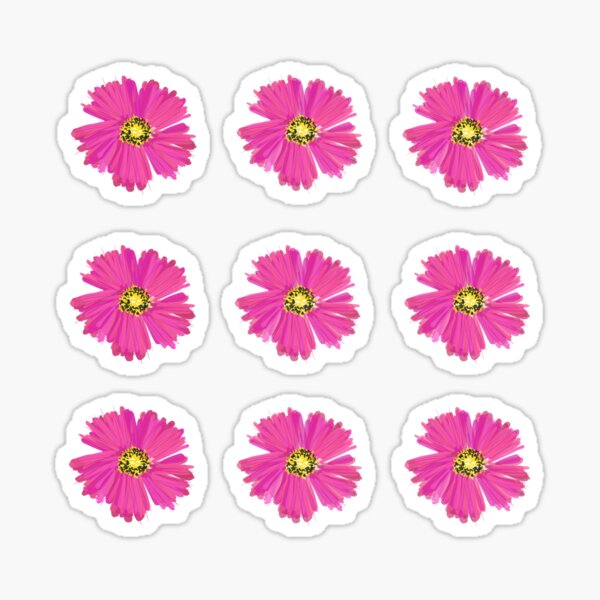 Kikunoie Bloom 4 Sticker