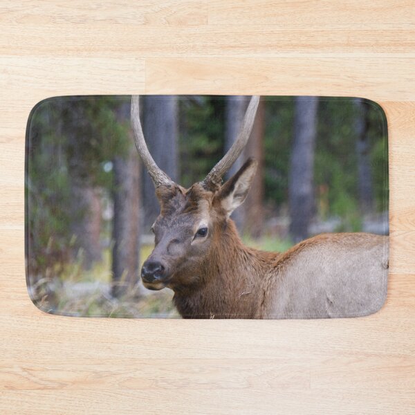 Item preview, young elk designed and sold by okomedesign.