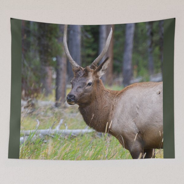 Item preview, young elk designed and sold by okomedesign.