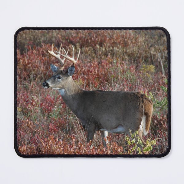 Item preview, Big Meadows Buck designed and sold by okomedesign.