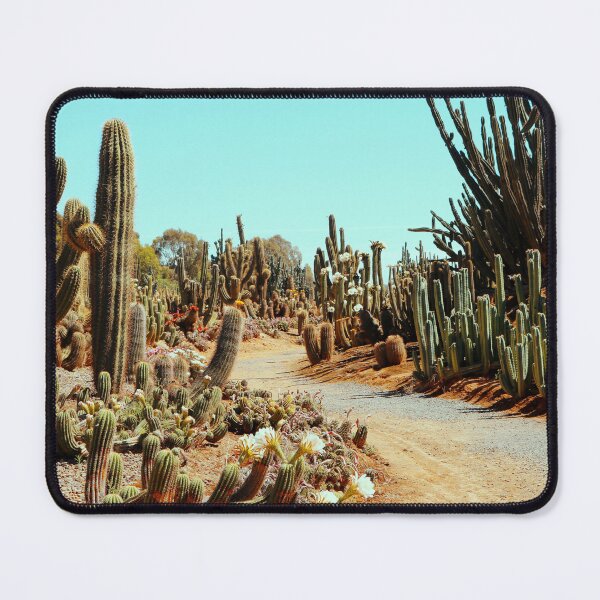Item preview, Between The Cacti || Cactus Country, Victoria designed and sold by VMKPhotography.