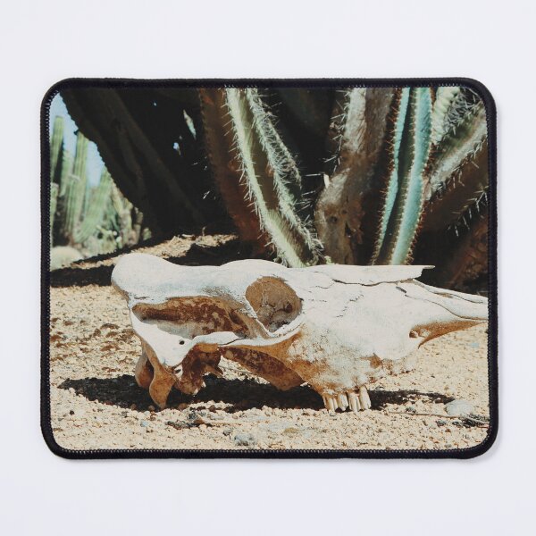Item preview, Cow Skull & Cacti || Cactus Country, Victoria designed and sold by VMKPhotography.