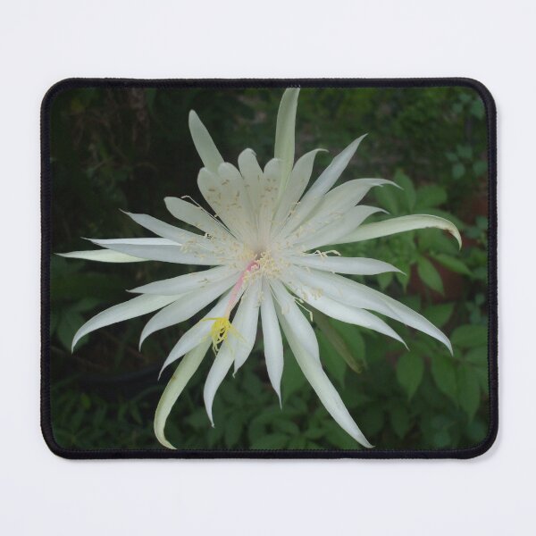Item preview, EARTH ~ STAR designed and sold by artist4peace.