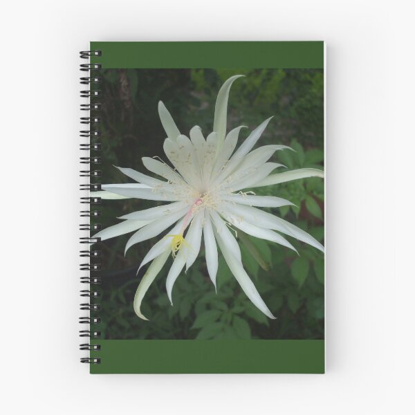 Item preview, EARTH ~ STAR designed and sold by artist4peace.
