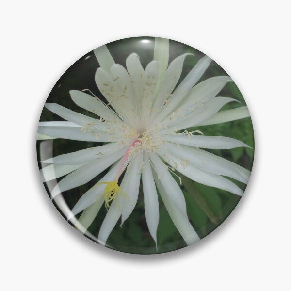 Item preview, EARTH ~ STAR designed and sold by artist4peace.