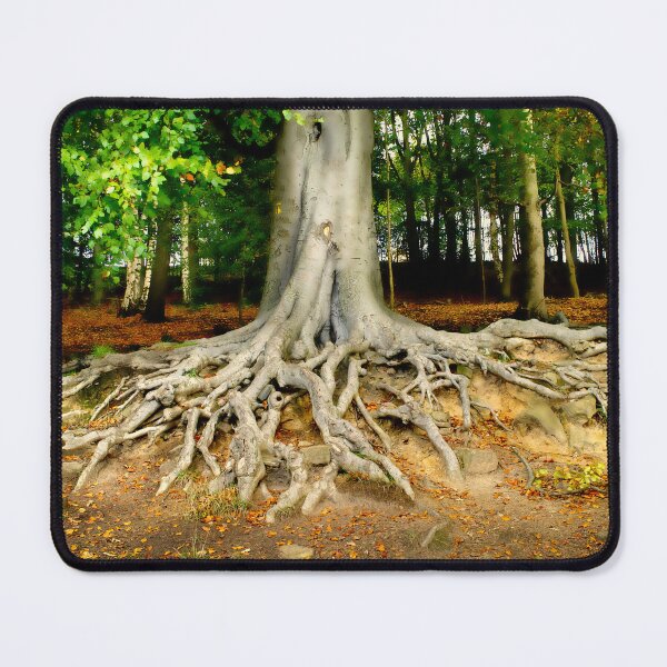 Item preview, Newmillerdam Tree Roots designed and sold by Alisonchambers2.
