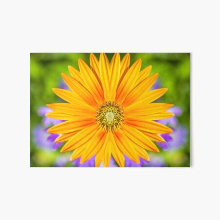 Fools Gold Art Board Print